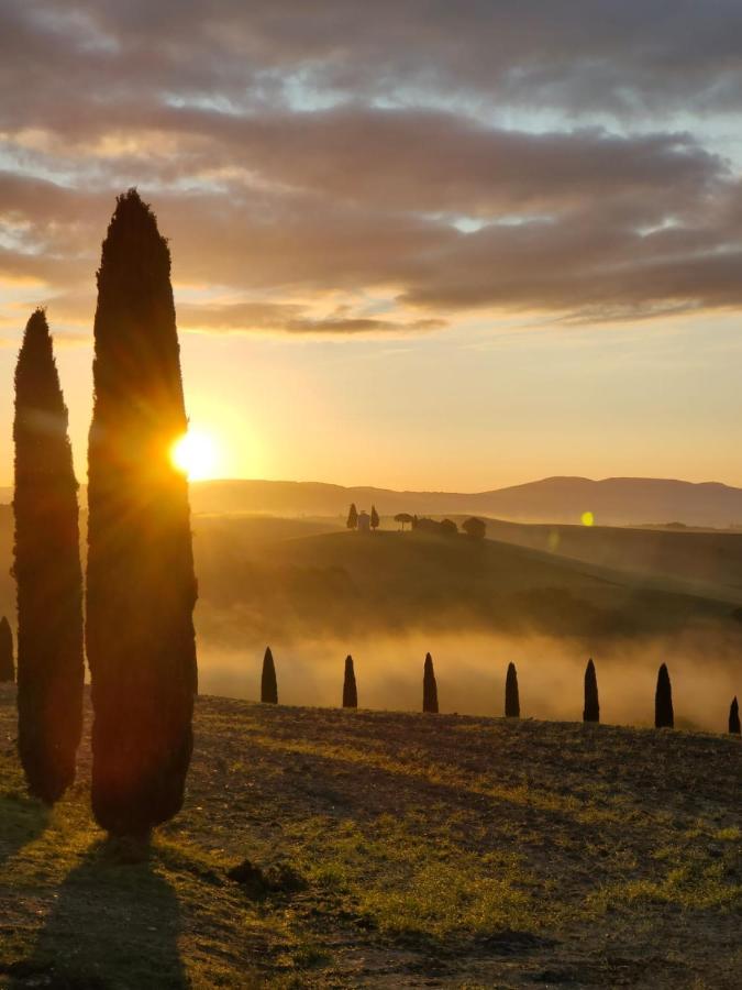 Goccia In Valdorcia Smart Home San Quirico d'Orcia Ngoại thất bức ảnh