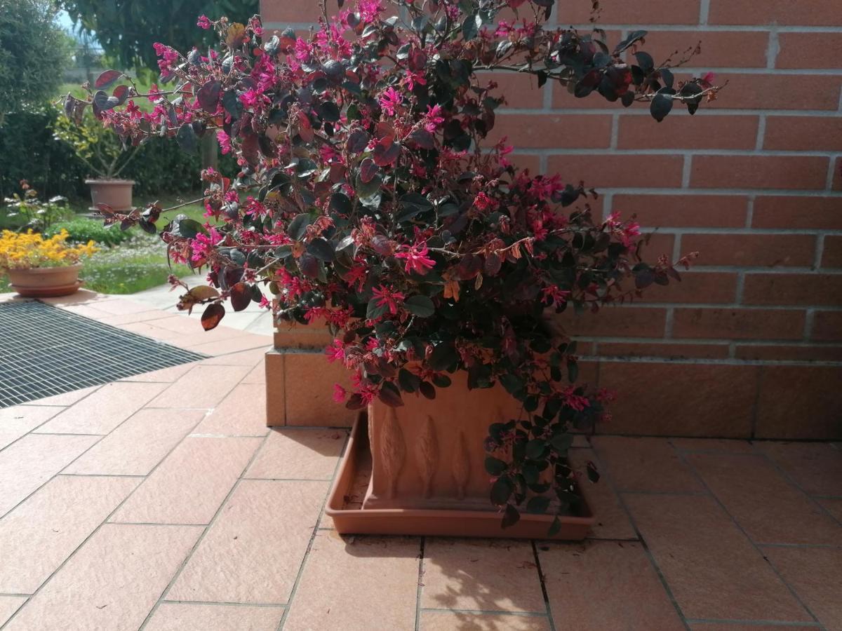 Goccia In Valdorcia Smart Home San Quirico d'Orcia Ngoại thất bức ảnh
